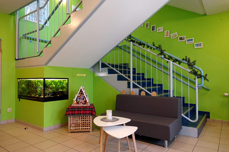 Treppenhaus der Kita mit Aquarium mit grünen Wänden