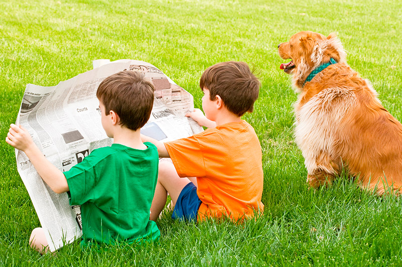 Zwei Kinder sitzen Zeitung lesend auf der Wiese zusammen mit einem Hund